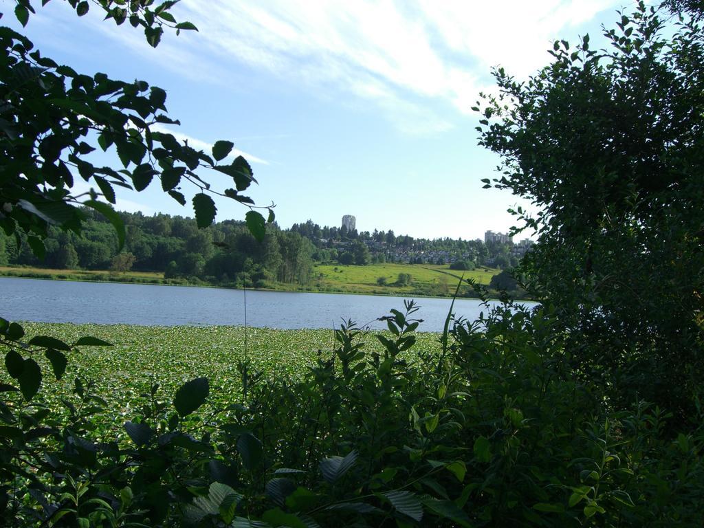 Burris Guest House Burnaby Zewnętrze zdjęcie