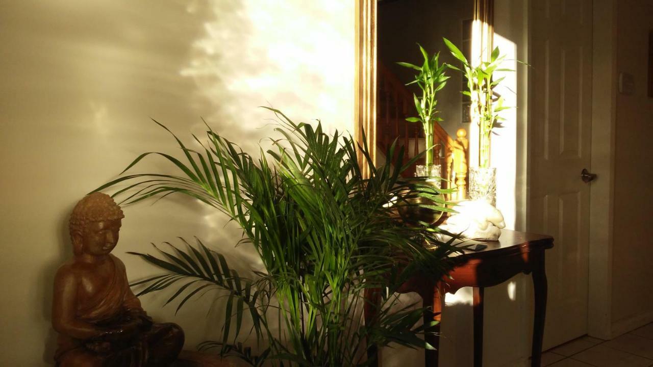 Burris Guest House Burnaby Zewnętrze zdjęcie